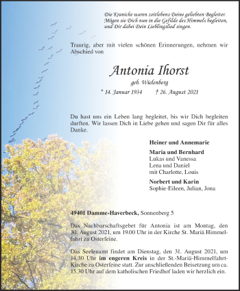 Anzeige von Antonia Ihorst von OM-Medien