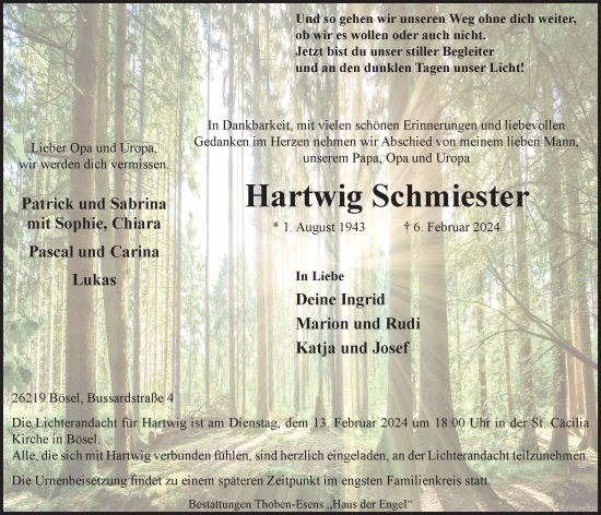 Anzeige von Hartwig Schmiester von OM-Medien